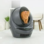Cat Litter Robot 3