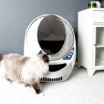 Cat Litter Robot 3 blanca