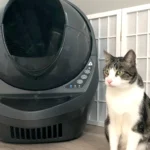 Cat Litter Robot 3 – 7