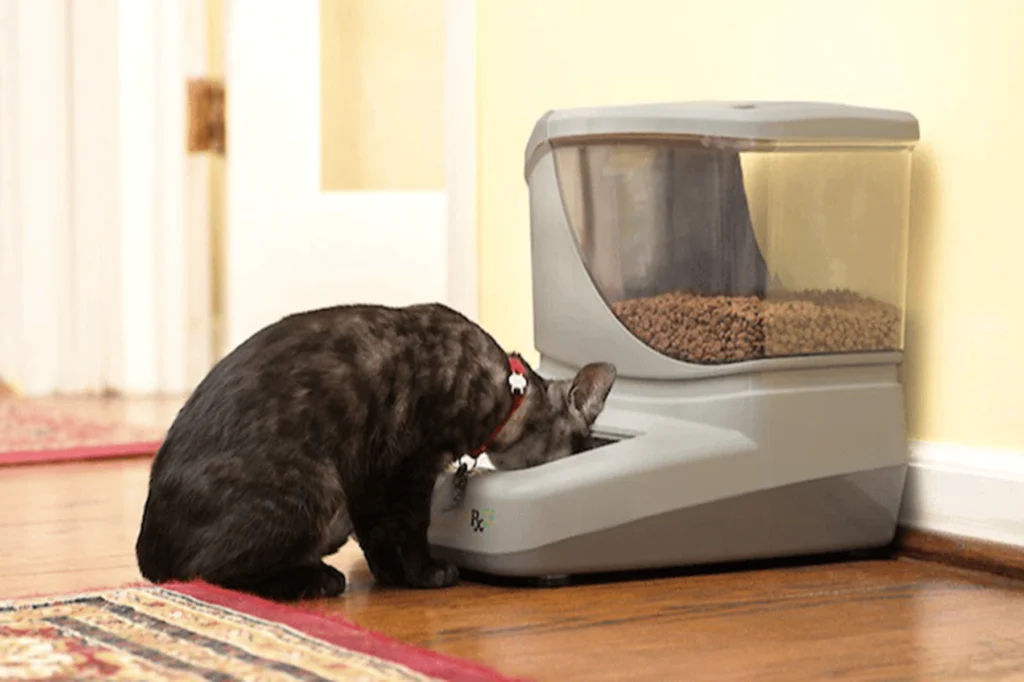 Cat Feeder